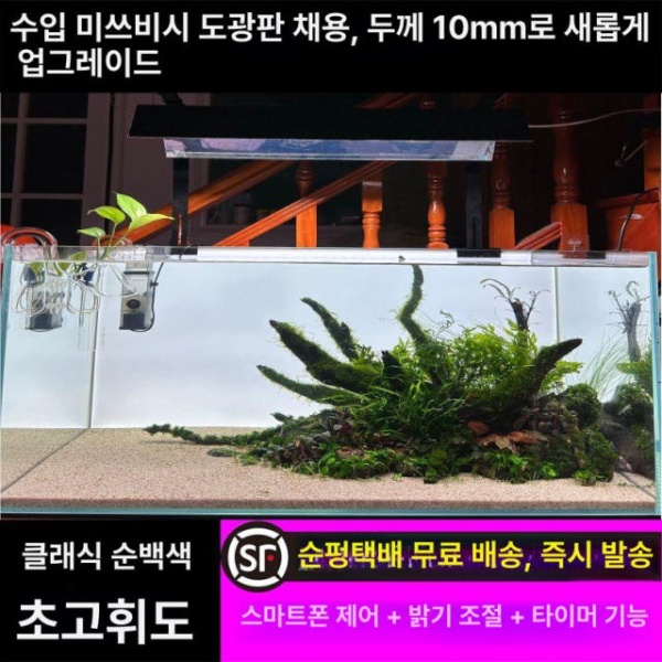 프리미엄 수족관 백라이트 백스크린 순백 배경 그라데이션 해수어 - 상세 이미지 4