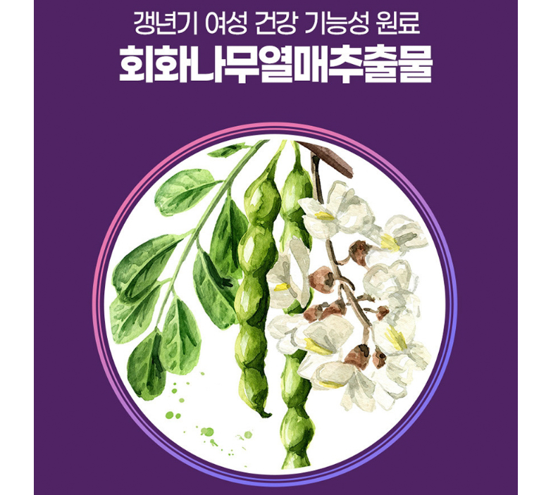 메노에스트로 대두 이소플라본 회화나무 파이토젠 건강 여성 에스트로겐 호르몬 갱년기 중년 - 상세 이미지 4