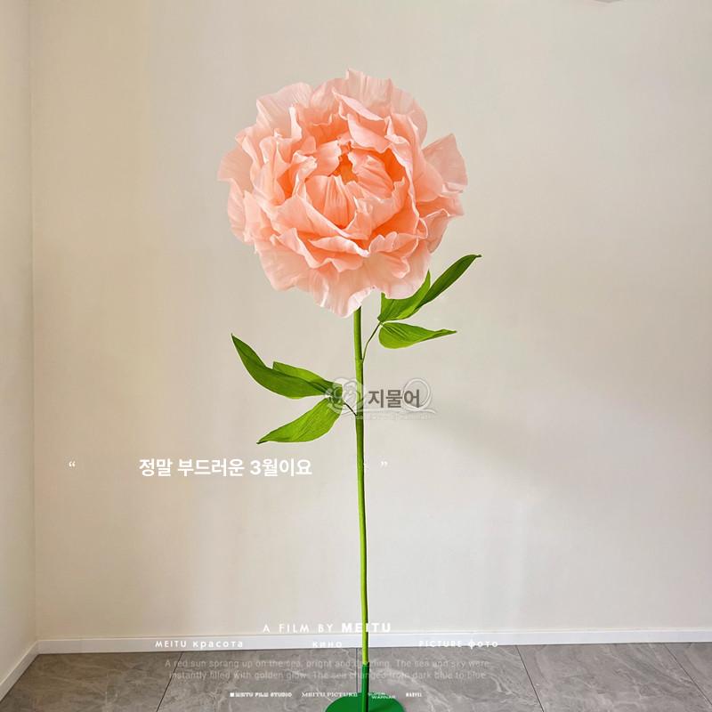 자이언트플라워 diy 대형 페이퍼플라워 종이꽃 재료 샴페인 - 상세 이미지 4