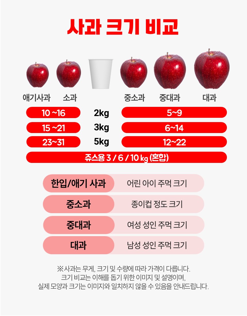 못난이 문경사과 엔비 홍로 부사사과 5kg 보조개 예산 청송사과 10kg 이미지 8