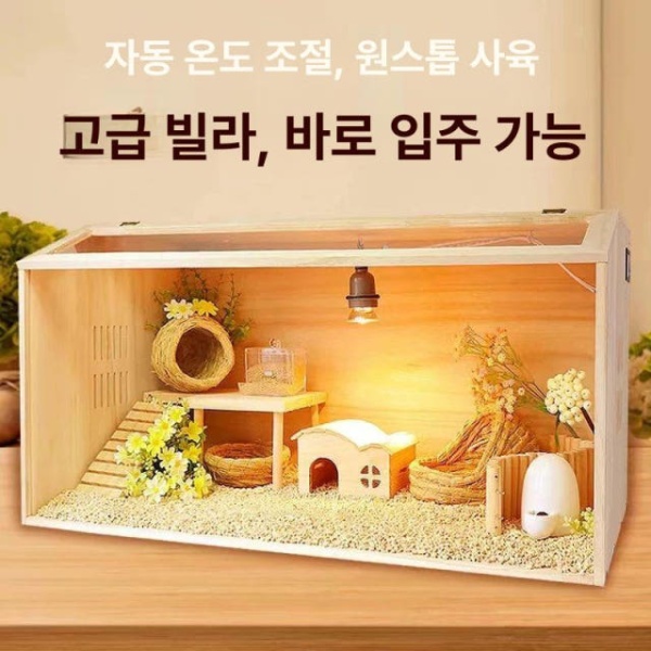 프리미엄 육지거북이 집 아크릴 싱글박스 달팽이 디럭스 반려동물 - 상세 이미지 2