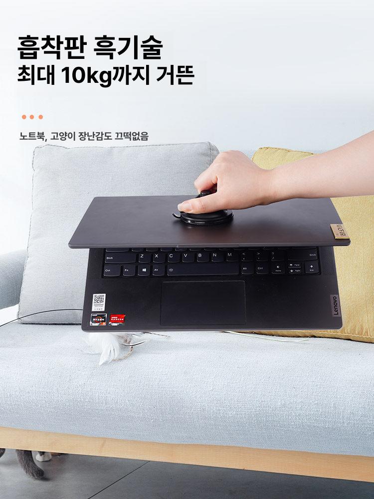 고양이 낚싯대 와이어 사냥놀이 반려묘 벽 바닥 강력 흡착 고정형 플라스틱 유연 흡착판 + 핸드헬드 - 상세 이미지 3