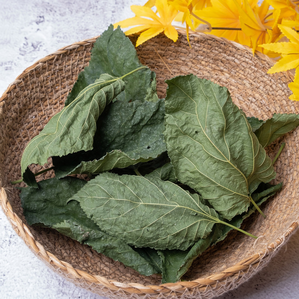 뽕나무 뽕잎 차 상엽 카페인없는tea 티백 사무실 커피 물 대용 차 맛있는 허브 건강tea - 상세 이미지 2