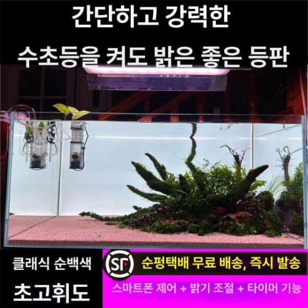 프리미엄 수족관 백라이트 백스크린 순백 배경 그라데이션 해수어 - 상세 이미지 3