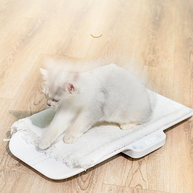 소형 강아지 체중계 고양이 반려동물 B 전자저울 충전식 중형 반려동물 저울 [최대 30kg] - 상세 이미지 2