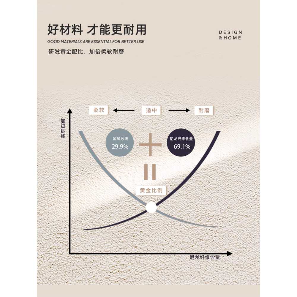 긴 복도 러그 통로용 호텔 게스트하우스 스트립형 매트 120x160 이미지 6