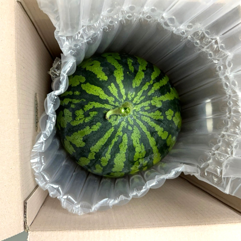 프리미엄 산지직송 고당도 하우스 꿀 수박 6kg, 1개 - 상세 이미지 4