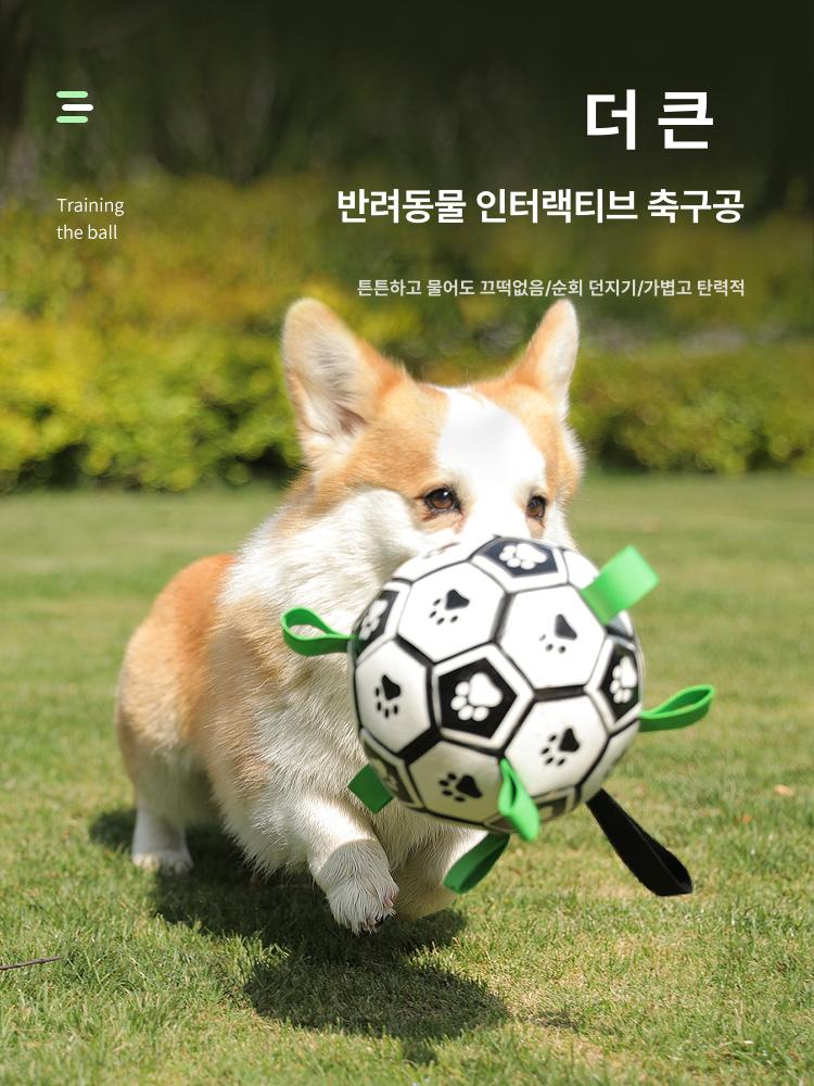 강아지딸랑이공 강아지공던지기기계 야광 축구공 인터랙티브 강아지 강아지led공 반려견공놀이 - 상세 이미지 2