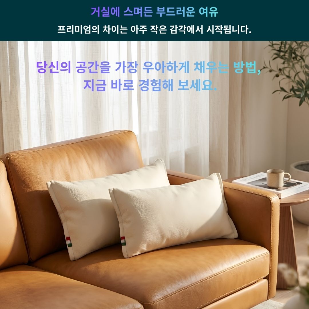 서원아라 천연가죽 직사각 소파 쿠션 62x32cm - 상세 이미지 2