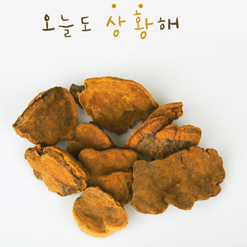 류충현약용버섯 상황버섯 진액 스틱 부모님 어르신 스승님 감사 인사 선물 20ml, 30포, 1개 - 상세 이미지 2