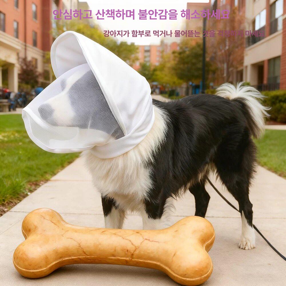 강아지 얼굴망 페이스커버 야외활동 벌레 통기성 메쉬원단 화이트 S - 상세 이미지 3