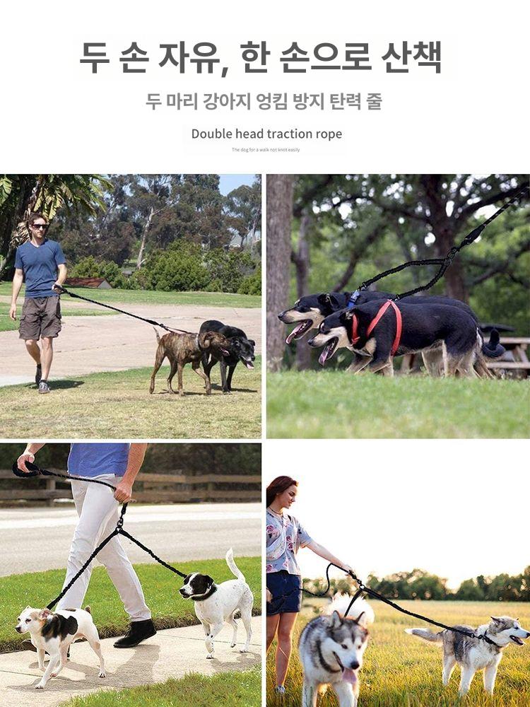 강아지와이어 강아지자동줄 더블 트윈 워킹 강아지하네스 대형견줄 - 상세 이미지 3
