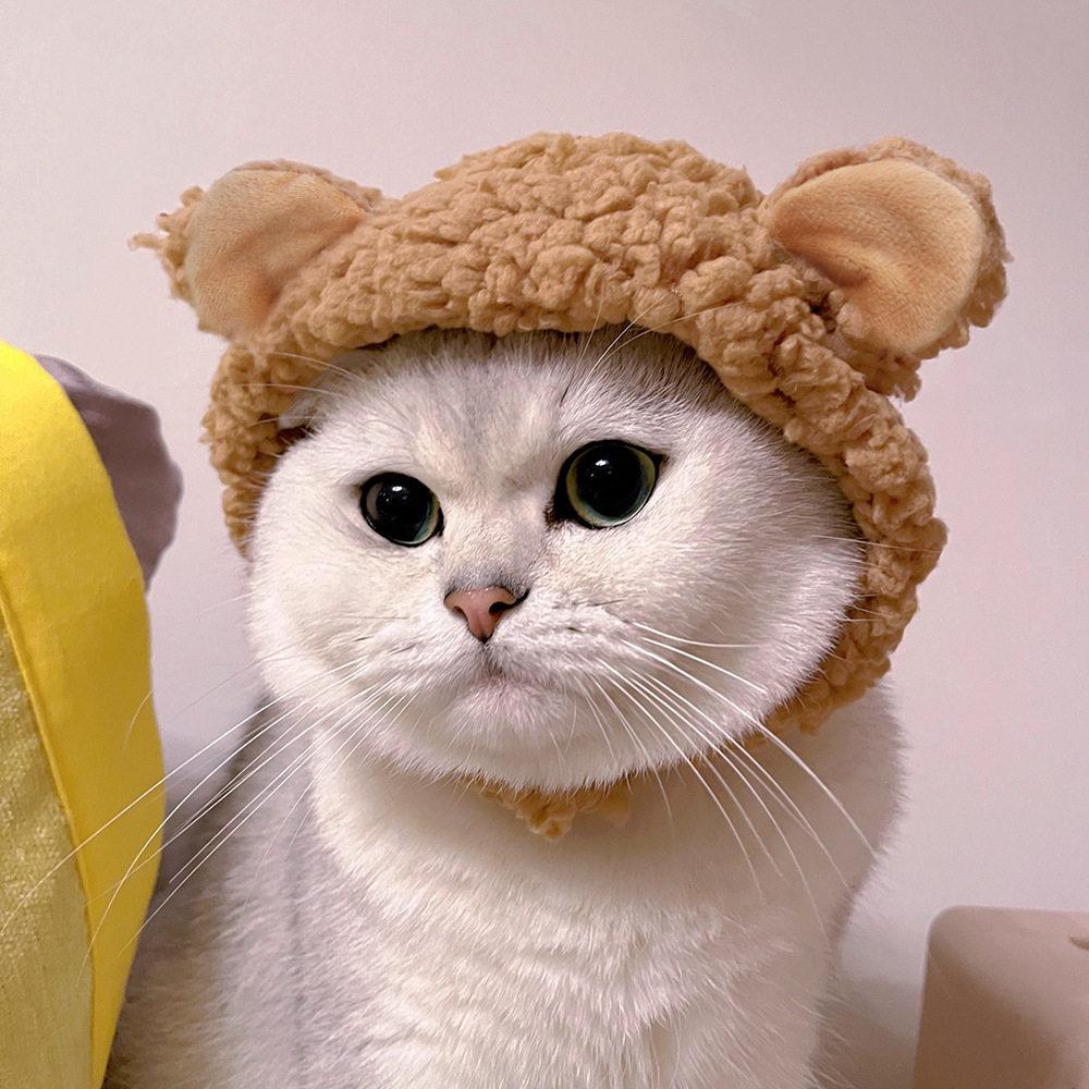 강아지선물 강아지산책용품 고양이 모자를 쓰고 애완 동물 귀여운 강아지군밤모자 대형견모자 - 상품 이미지
