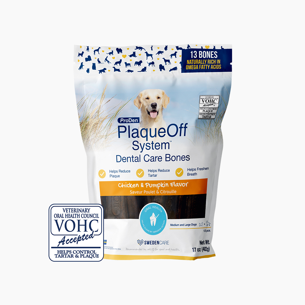 [신기펫케어] 프로덴 플라그오프 덴탈 케어본 치킨&펌킨 482g 제품 이미지