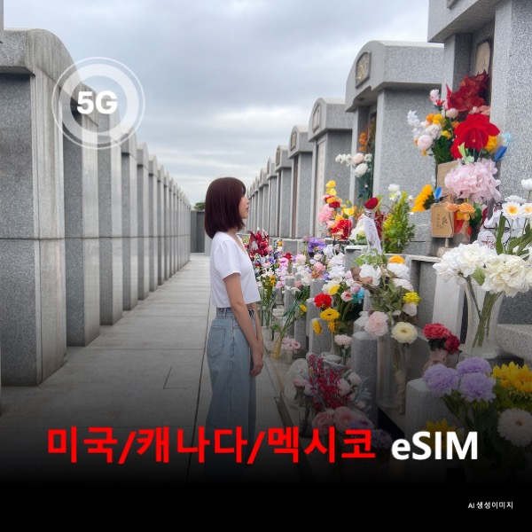 [올인원번호팩] [총알로컬망] 미국 캐나다 멕시코 통합 AT&T 이심 eSIM 데이터 통화 문자 20일간 무제한 이심통 - 상품 이미지