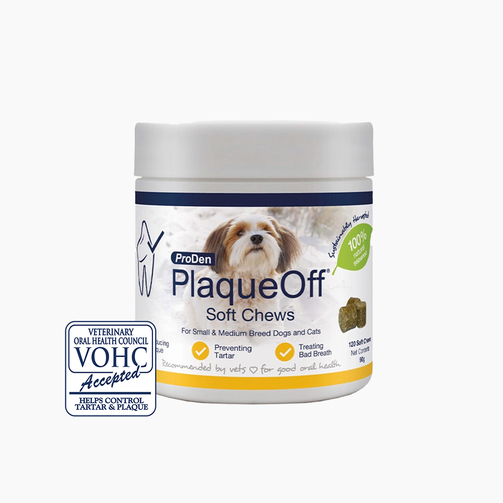 [신기펫케어] 프로덴 플라그오프 덴탈 소프트츄 독 솔직 후기 | 실제 사용자 리뷰 총정리 - 대표 이미지