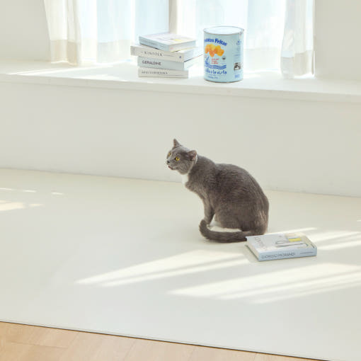 [러그140x180cm] 디팡 4mm 펫 미끄럼방지 강아지 고양이 애견매트 슬개골 반려견 : 디팡