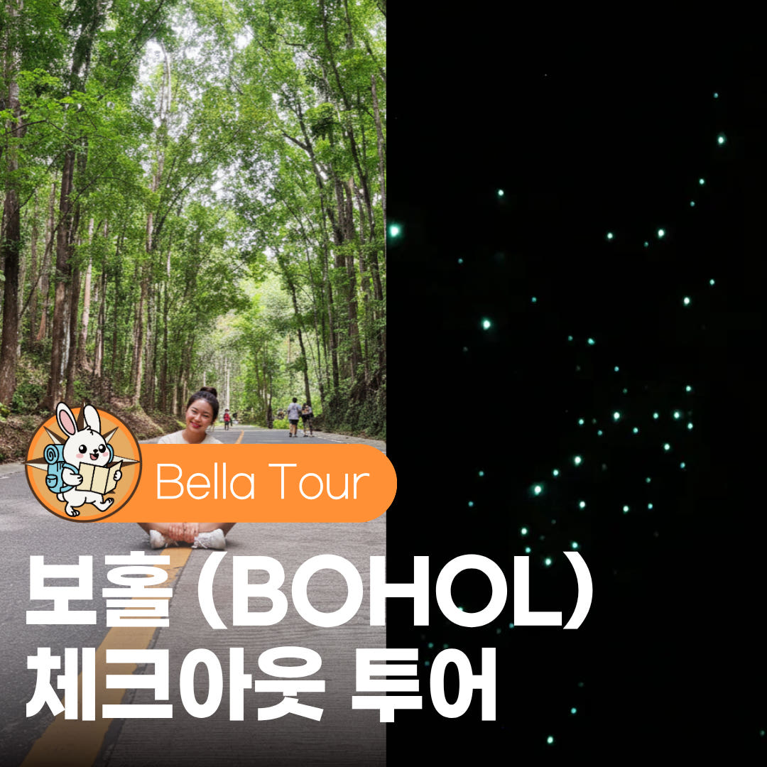 벨라투어 보홀 체크아웃 투어 육상투어 반딧불 마사지 초콜릿힐 안경원숭이 저녁식사 공항샌딩 짐보관