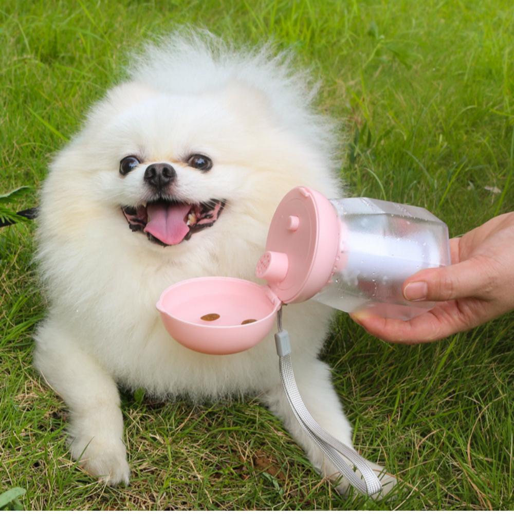 위드레오 2in1 버섯 강아지물병 휴대용 물통 똥츄 보관 300ml - 상세 이미지 3