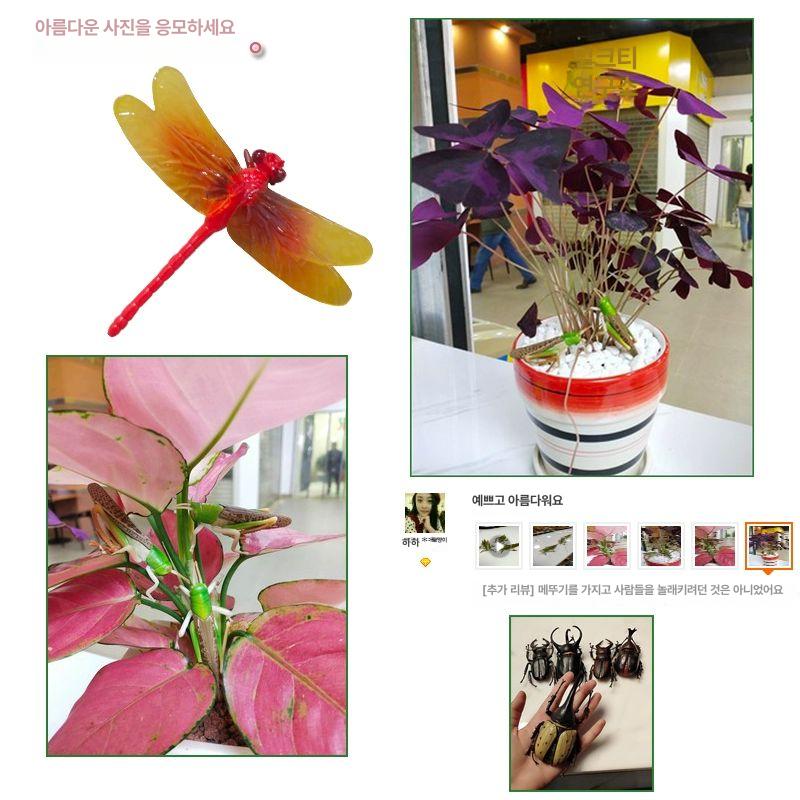 도감 입체곤충도감 곤충 세계의 입체곤충 리얼 모형 - 상세 이미지 4