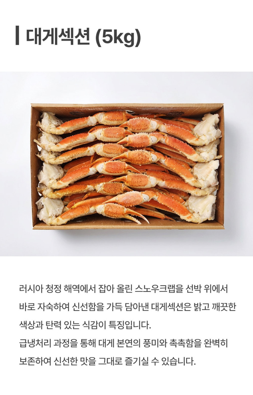 스노우크랩 5kg L 2L 3L 4L 러시아 대게 수입 냉동 자숙 박달 섹션 판매처 상세 정보 이미지 4