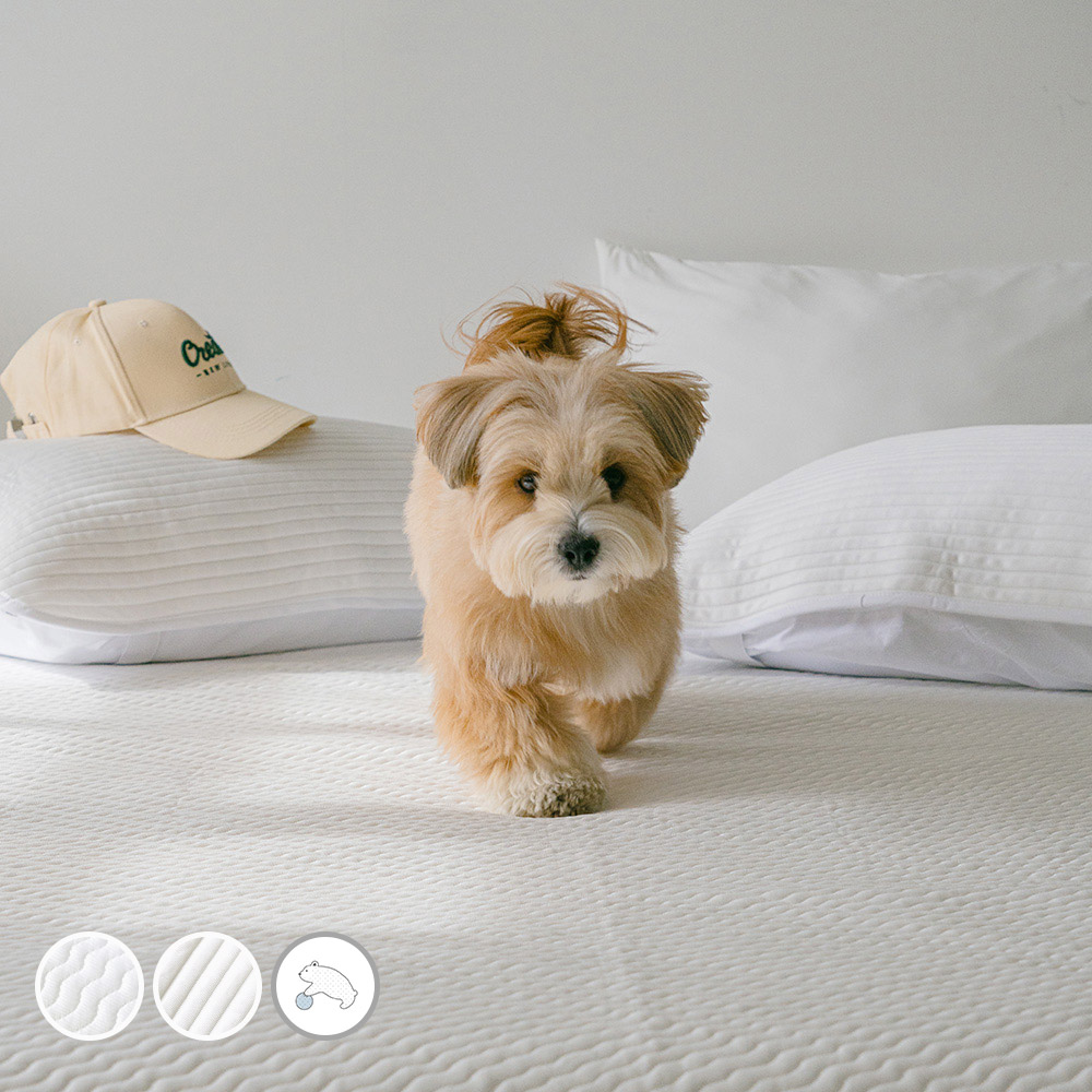 바자르 냉감 듀라아이스 3중직 냉감여름패드 메쉬 논슬립 여름 침대패드 SS