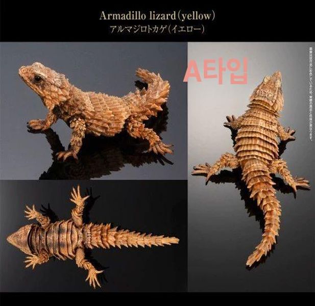 갑옷도마뱀 거들테일 아르마딜로 모형 리자드 피규어 모스아 - 상세 이미지 5