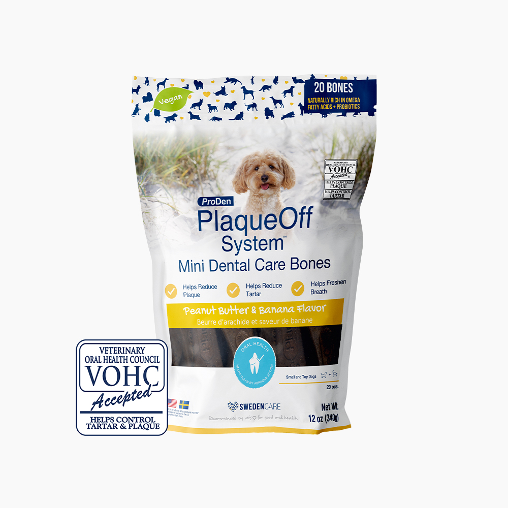 [신기펫케어] 프로덴 플라그오프 덴탈 케어본 미니 피넛버터&바나나 340g 제품 이미지