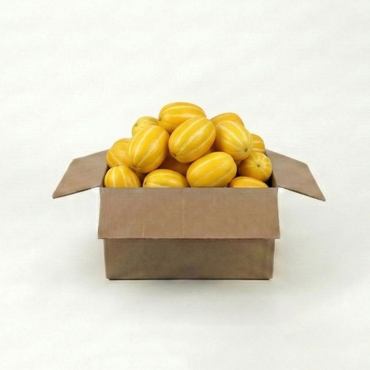 프리미엄 고당도 성주 참외 가정용 꿀참외 크기 랜덤과, 10kg, 1개 - 상품 이미지
