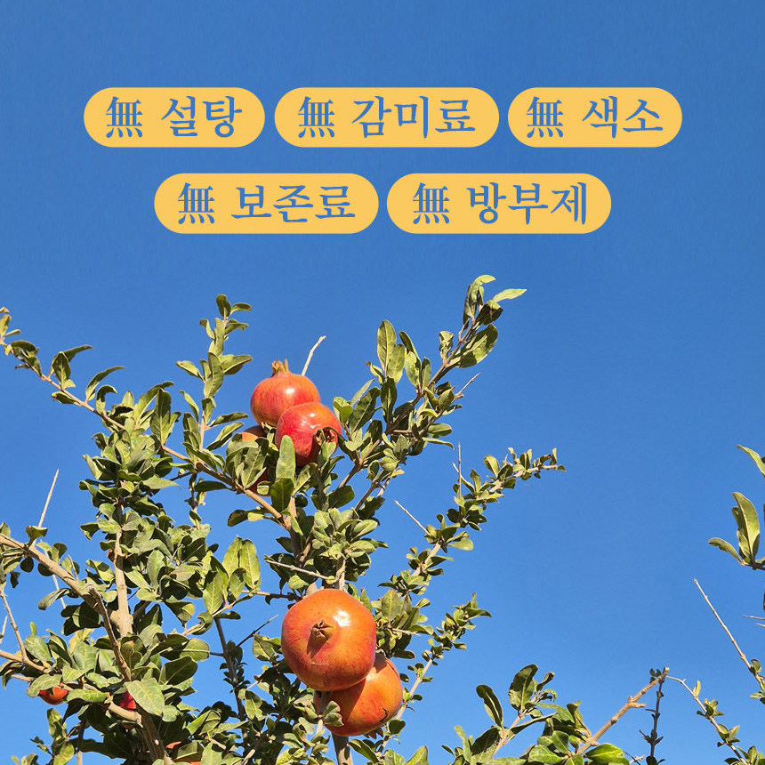 홍윤진 백수오 석류즙 석류 효능 30포 - 상세 이미지 5