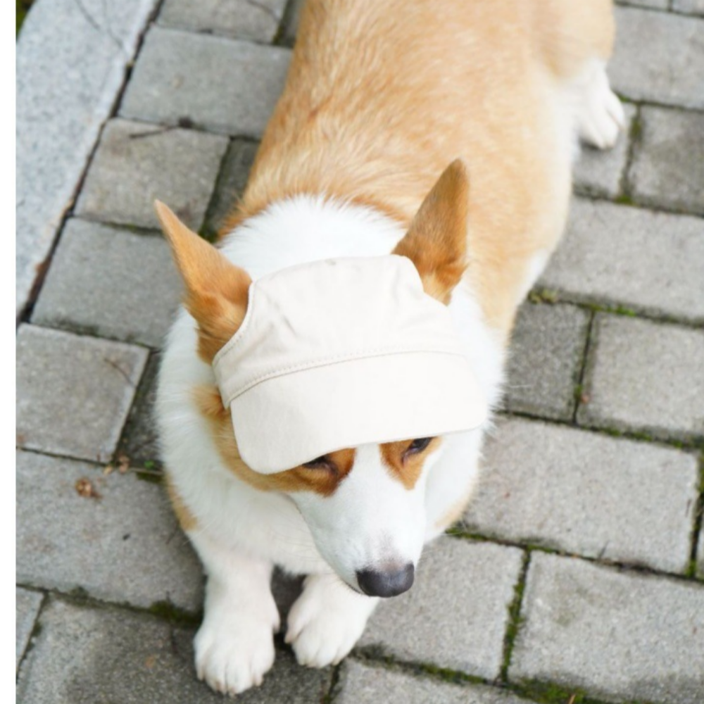위드레오 애견모자 강아지 고양이 야구 모자 대형견 자외선차단 인디고블루 XS - 상세 이미지 4