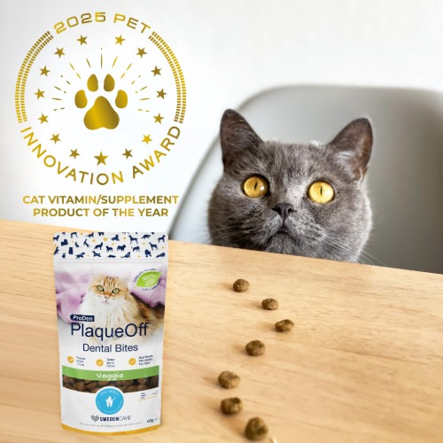 [신기펫케어] 프로덴 플라그오프 덴탈 바이트 캣 야채 60g 제품 이미지