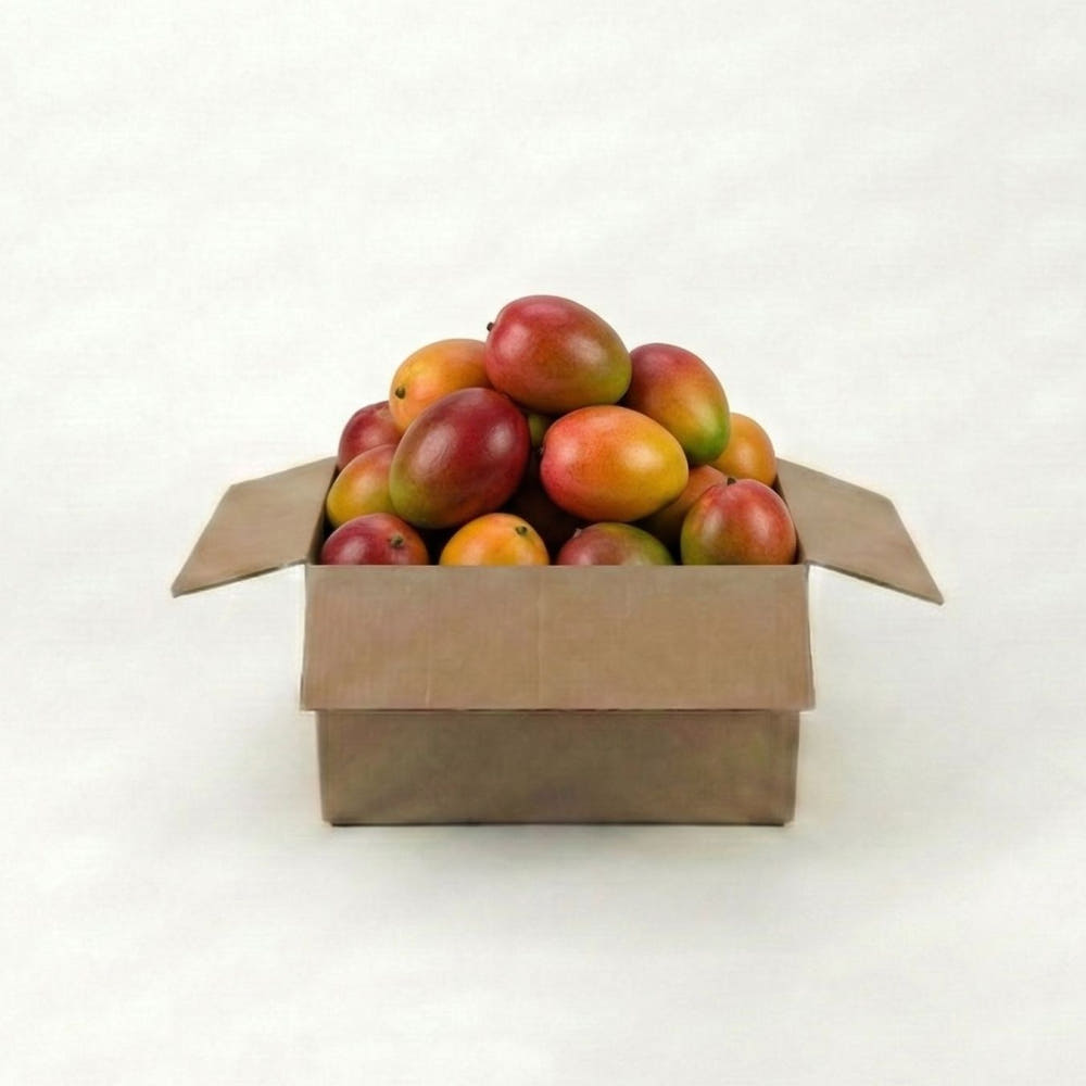 직수입 망고 1kg