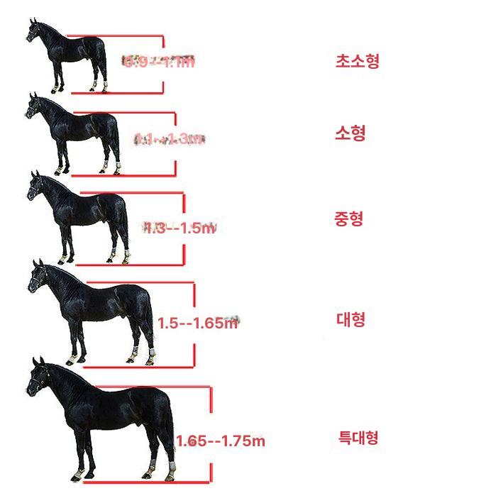 말 고삐 마방 조련 굴레 견마끈 컬러 마구간 로프 레드 엑스트라 스몰 - 상세 이미지 5