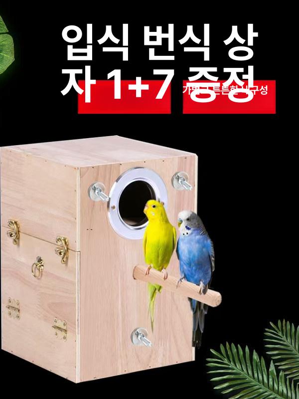 앵무새 알통 새집 신형 원목 핀치 코뉴어 둥지 모란 주택 용품 액세서리 산란통 왼쪽 좌측 - 상세 이미지 2