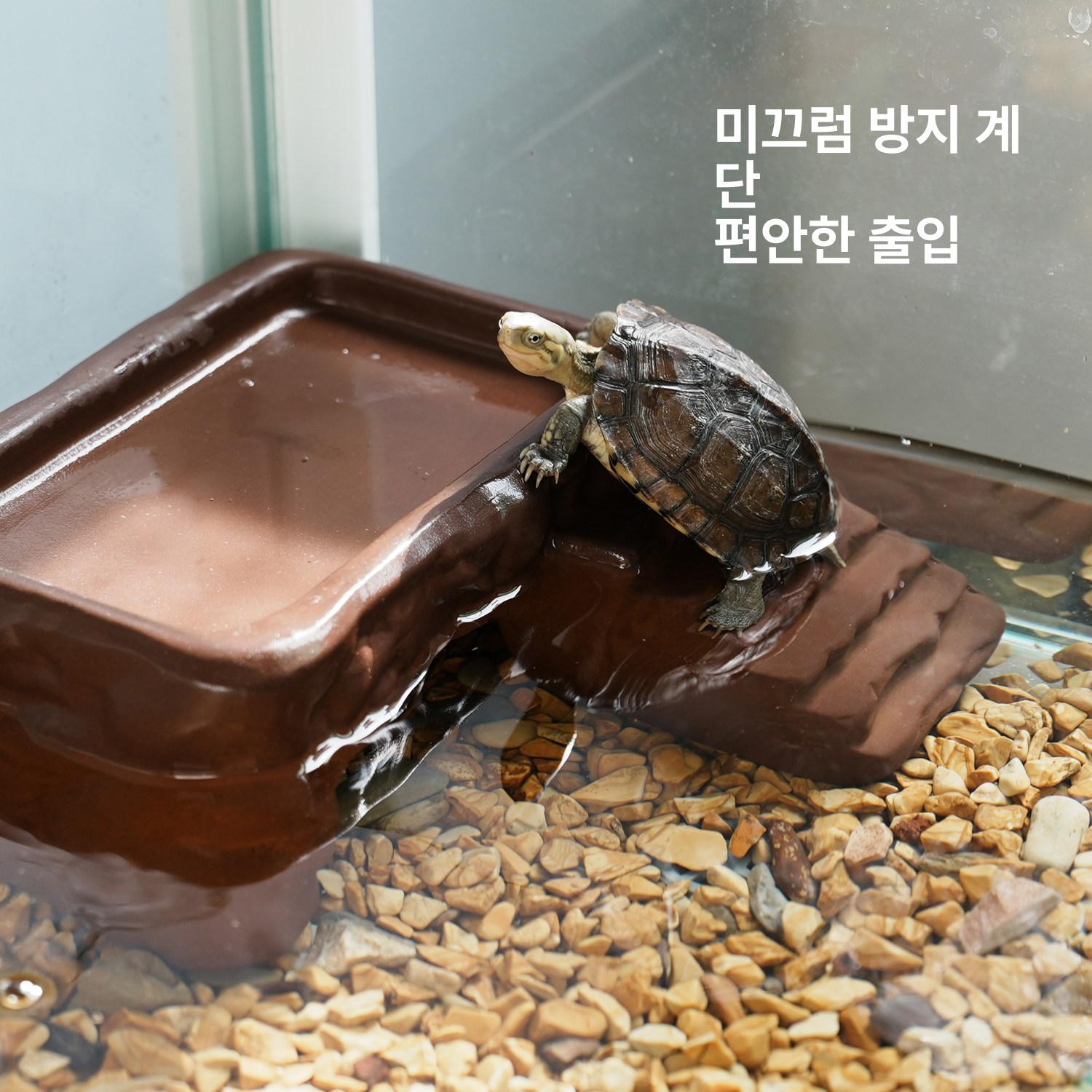 반수생 거북이 쉼터 파충류 일광욕 터틀 육지 어항장식 텍스처 [소형] - 상세 이미지 4
