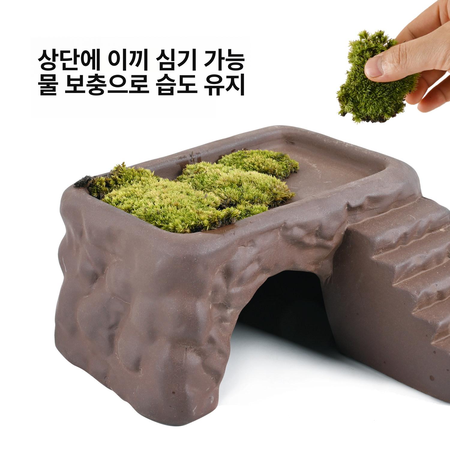 반수생 거북이 쉼터 파충류 일광욕 터틀 육지 어항장식 텍스처 [소형] - 상세 이미지 3