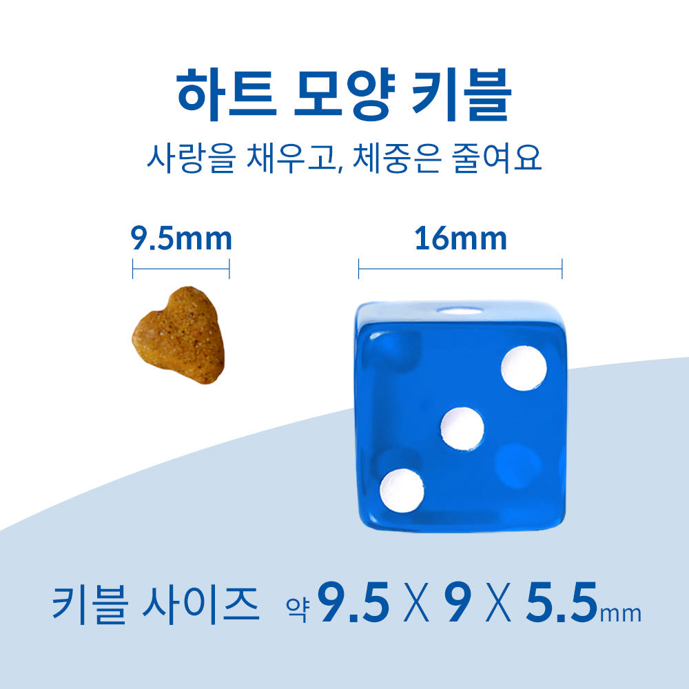 힐스 퍼펙트 웨이트