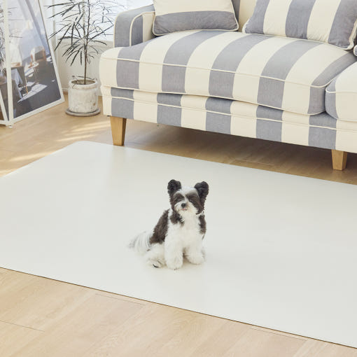 [러그140x180cm] 디팡 4mm 펫 미끄럼방지 강아지 고양이 애견매트 슬개골 반려견 : 디팡