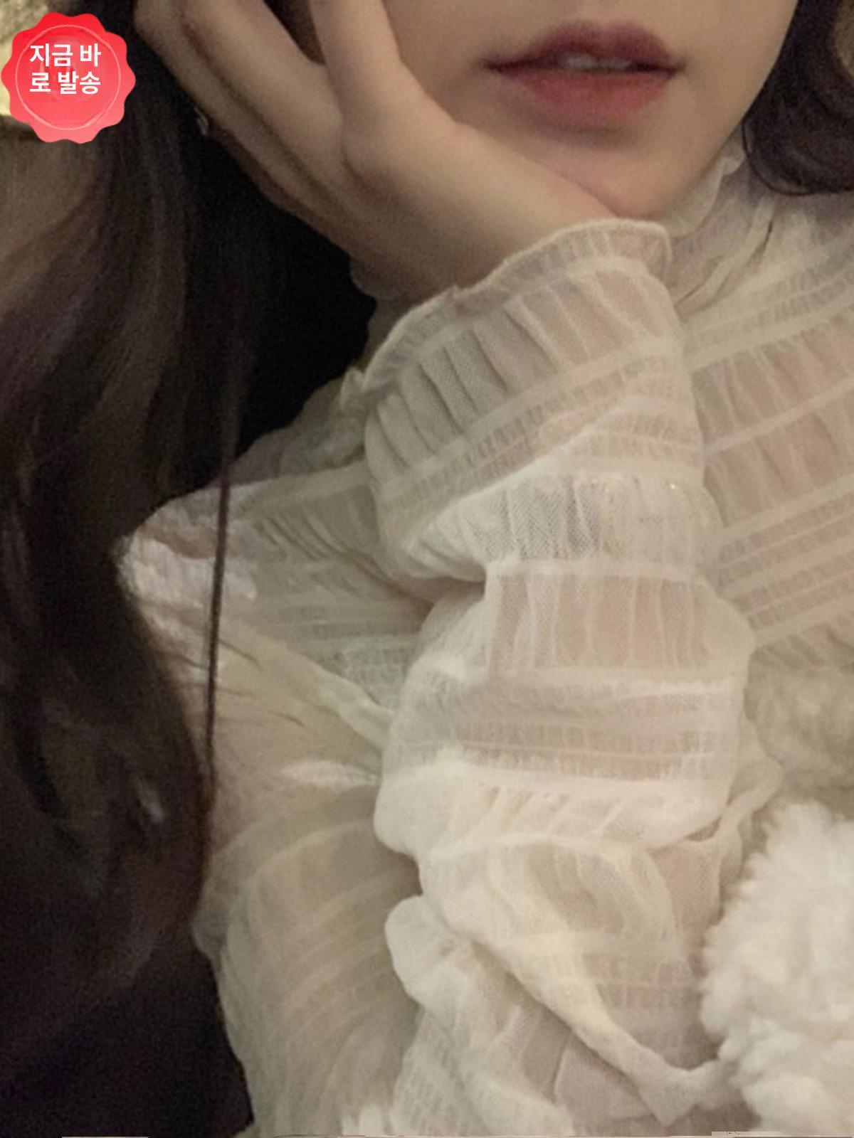 터틀넥 쉬폰 폴라 데일리 레이스 편한 티 레이어드 시스루 - 상품 이미지