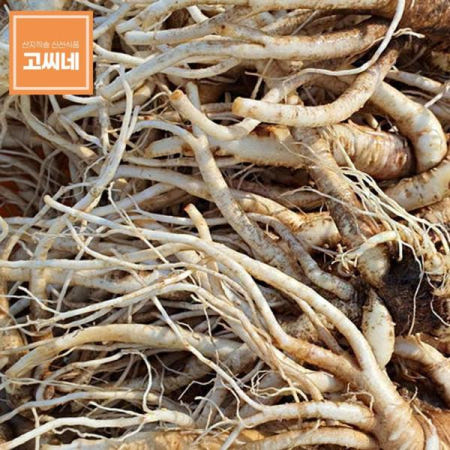도라지무침 고씨네 도라지 건도라지 백도라지 나물 나물도라지2kg
