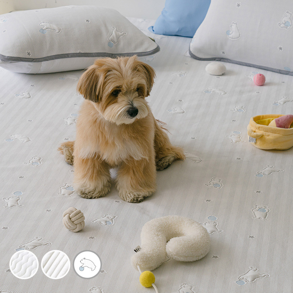 바자르 냉감 듀라아이스 3중직 냉감여름패드 메쉬 논슬립 여름 침대패드 SS