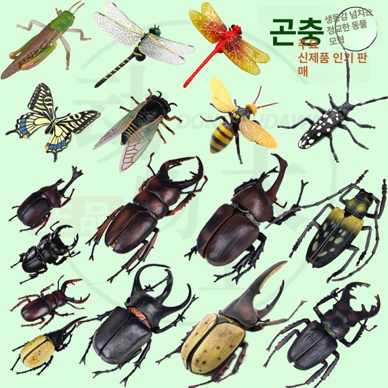 도감 입체곤충도감 곤충 세계의 입체곤충 리얼 모형 - 상세 이미지 2