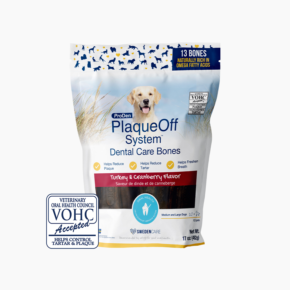 [신기펫케어] 프로덴 플라그오프 덴탈 케어본 터키&크린베리 482g 솔직 후기 | 실제 사용자 리뷰 총정리 - 대표 이미지