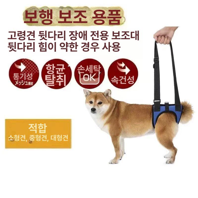 강아지보조기 반려견 보호 노견 다리 움직임 허리 다크네이비 의류 스타일 XS - 상세 이미지 2