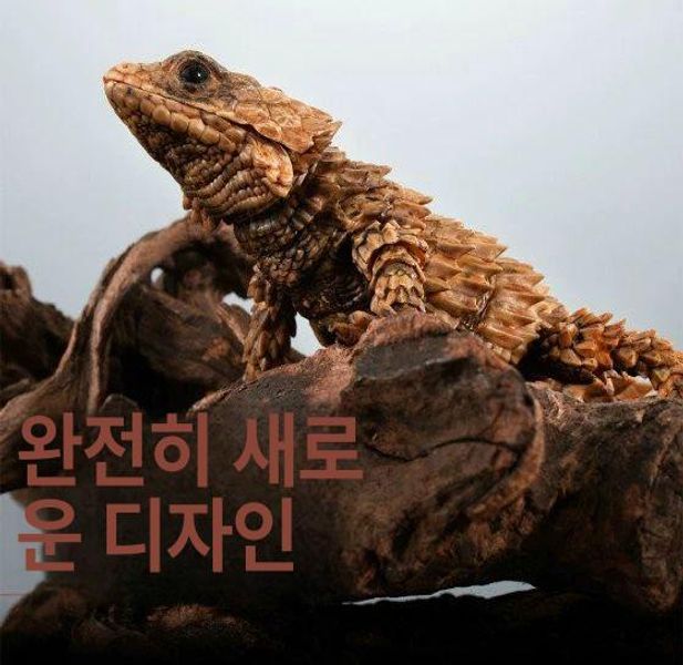 갑옷도마뱀 거들테일 아르마딜로 모형 리자드 피규어 모스아 - 상세 이미지 2