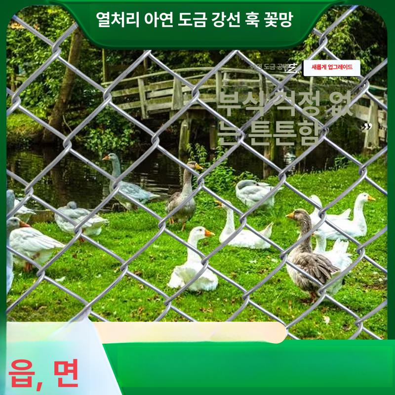 축사 염소망 아연능형망 울타리 1층 철조망 30m 펜스 축사울타리 고라니망 삼차원망 닭망 - 상세 이미지 4