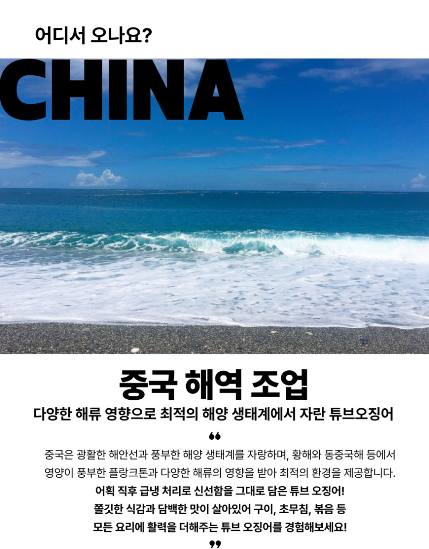 냉동 손질오징어 10kg 몸통 튜브 포크 내장제거 오징어 판매처 상세 정보 이미지 4