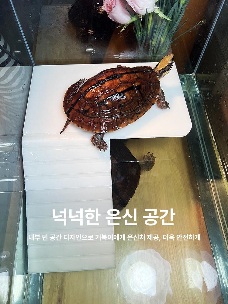 거북이 수조탱크 어항 하우스 육지 대형 직사각형 배수 전면 사다리형 16.5cmx10cmx5cm - 상세 이미지 5