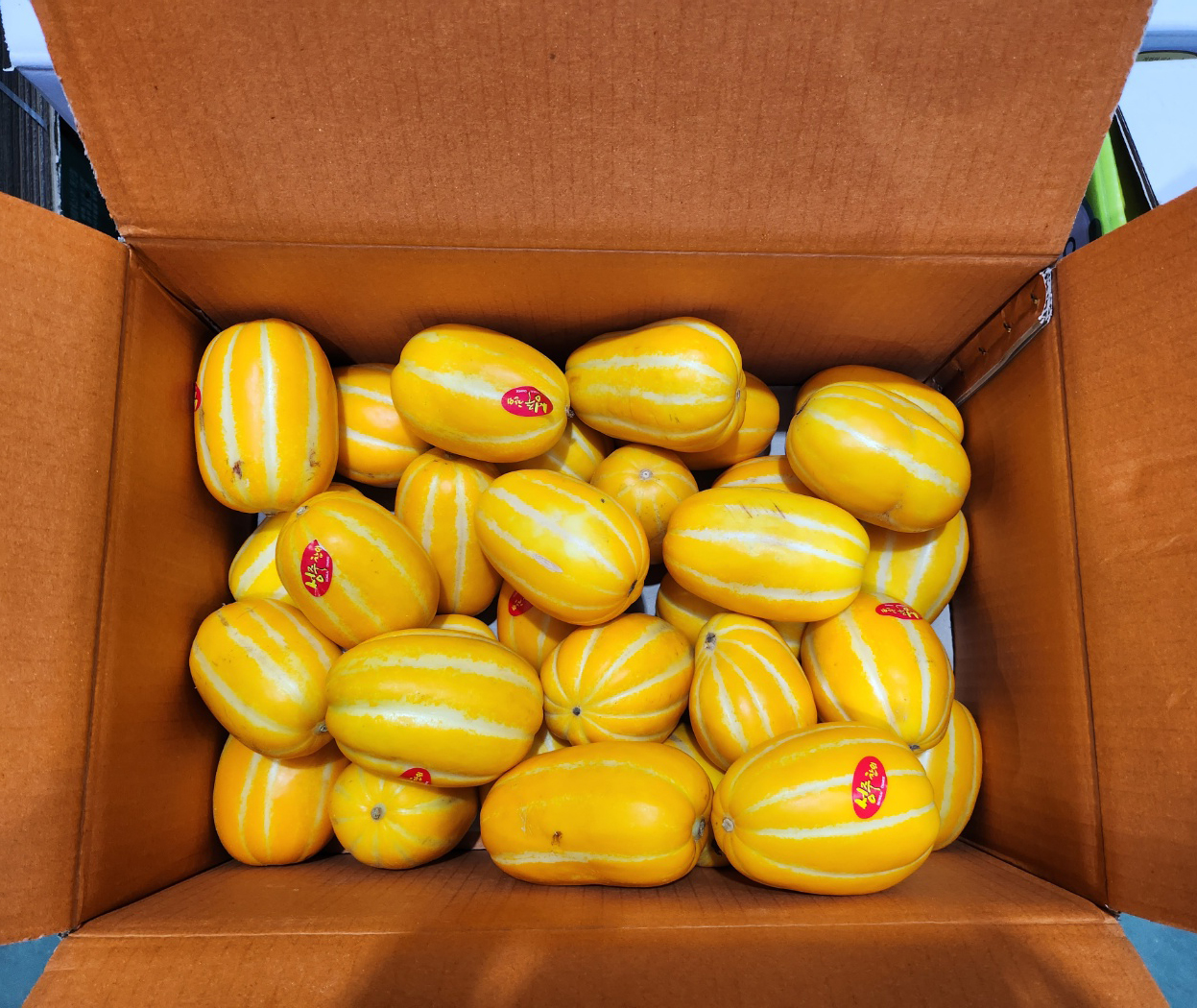 자연가득 가정용 못난이 성주 참외 1kg-5kg - 상품 이미지